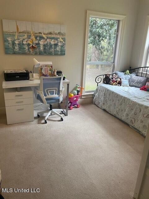 bedroom featuring multiple windows and carpet floors