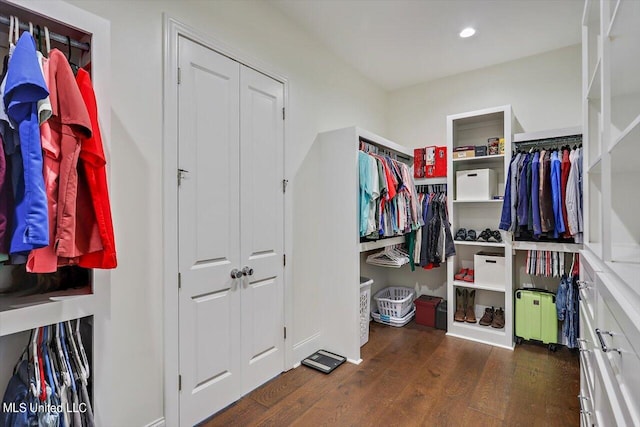 spacious closet with dark wood-type flooring