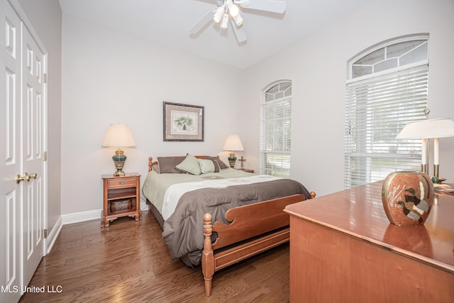 bedroom featuring ceiling fan, multiple windows, a closet, and dark hardwood / wood-style flooring