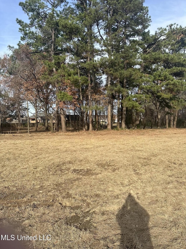 LOT2 Hamilton Cir, Olive Branch, MS 38654