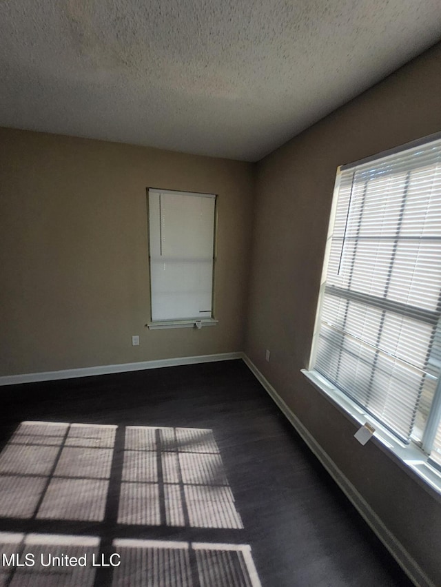 10101 Stephenson Ln, Olive Branch, MS 38654 - spare room featuring a textured ceiling, plenty of natural light, and dark wood-style flooring