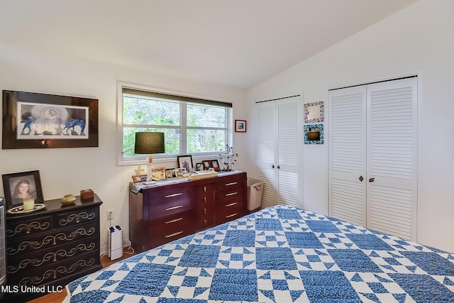 bedroom with two closets and vaulted ceiling