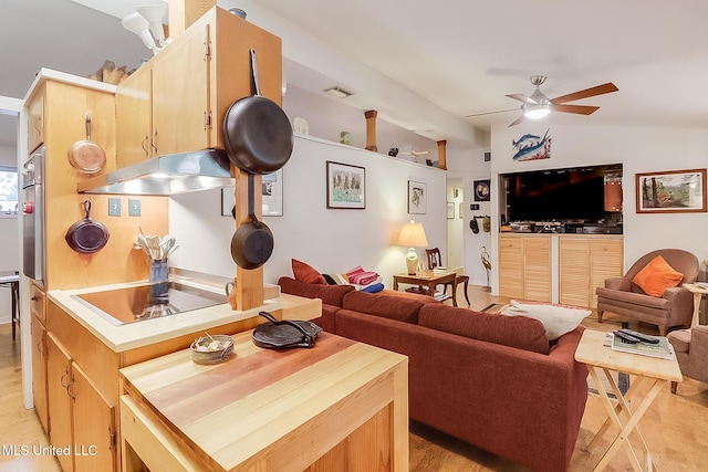 living room featuring ceiling fan and vaulted ceiling