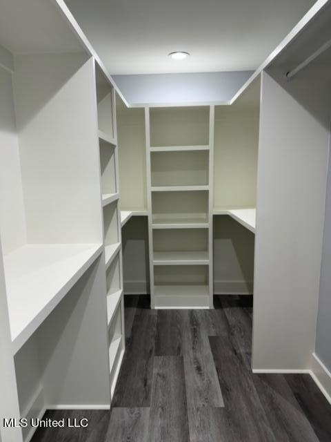 spacious closet featuring dark wood-type flooring