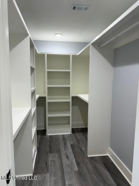 spacious closet featuring dark hardwood / wood-style flooring