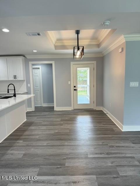 interior space with sink, dark hardwood / wood-style floors, and a tray ceiling