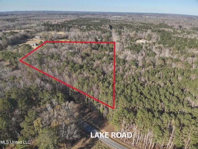 Listing photo 3 for Lake Rd, Pelahatchie MS 39145