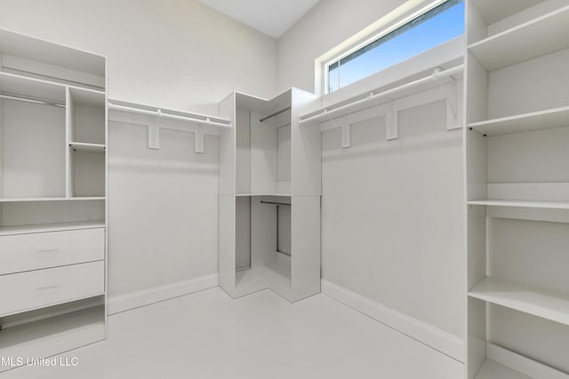 view of spacious closet