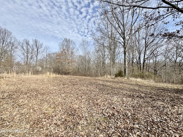 198 Tolbert Rd, Coldwater MS, 38618 land for sale