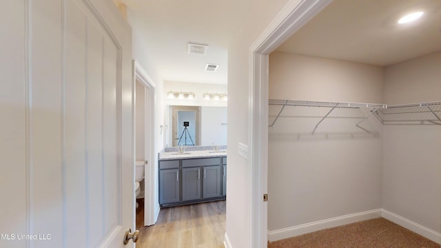 7908 Gardendale Dr, Olive Branch, MS 38654 - walk in closet featuring visible vents and a sink