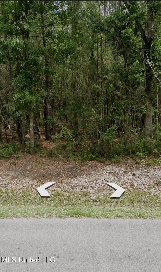 Joes Bayou Rd, Bay Saint Louis, MS 39520