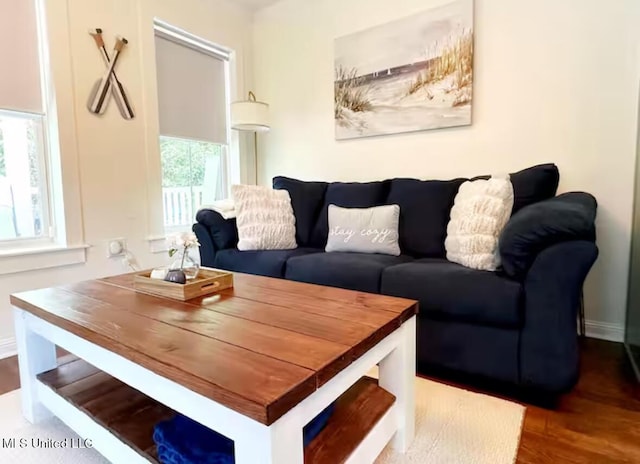 living room featuring hardwood / wood-style flooring and plenty of natural light