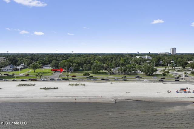 aerial view of a large body of water and a tree filled landscape
