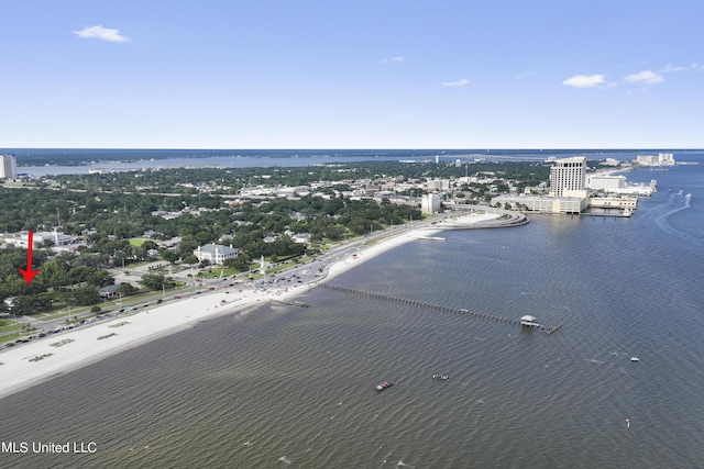 bird's eye view of a nearby body of water