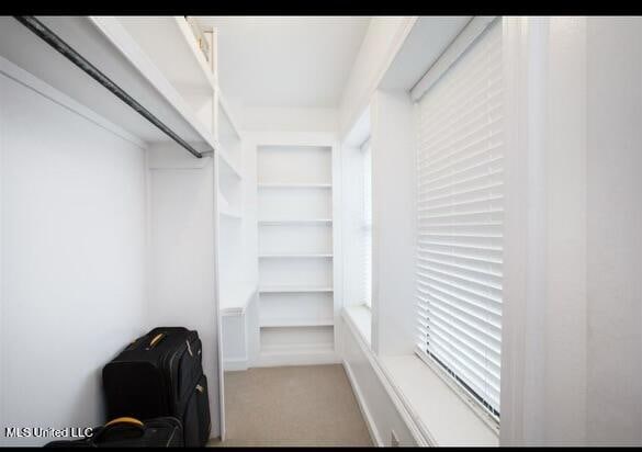 spacious closet with light colored carpet