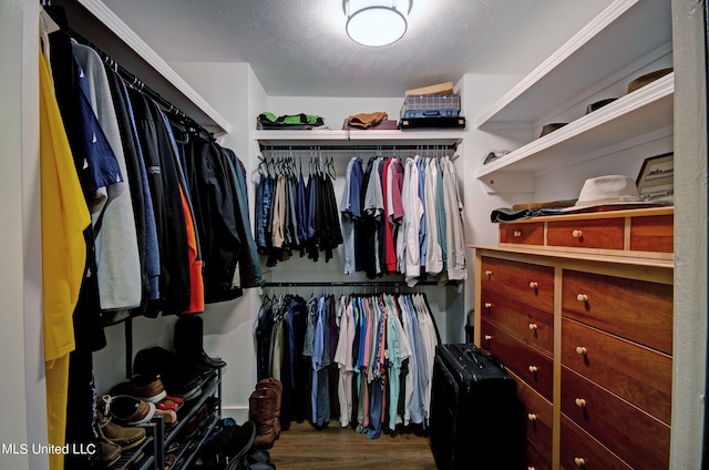 walk in closet with hardwood / wood-style floors