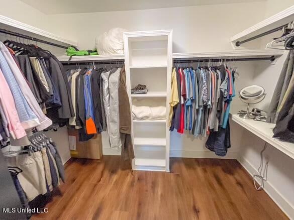 walk in closet with wood-type flooring