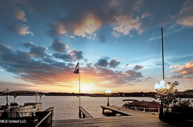 dock area with a water view