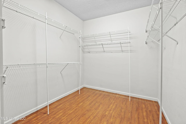 7906 Kirkwood Cv, Olive Branch, MS 38654 - walk in closet featuring wood finished floors