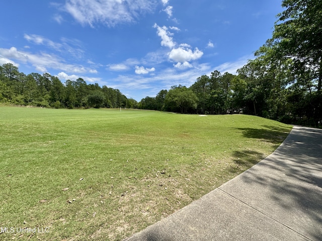 view of green lawn