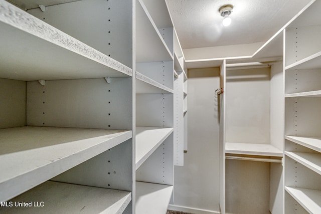 view of walk in closet