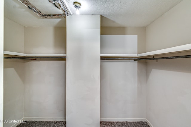 spacious closet with carpet flooring