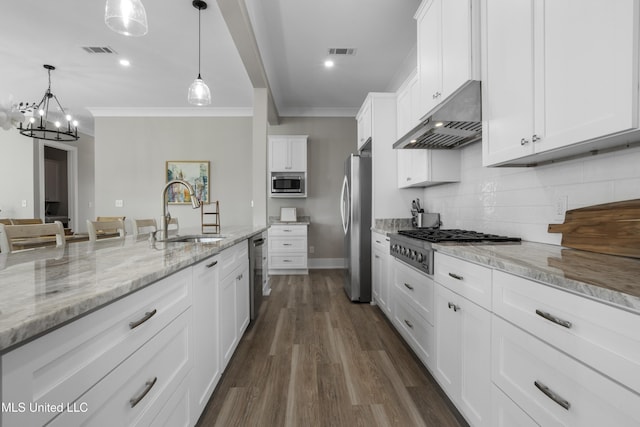 kitchen featuring appliances with stainless steel finishes, visible vents, a sink, and under cabinet range hood