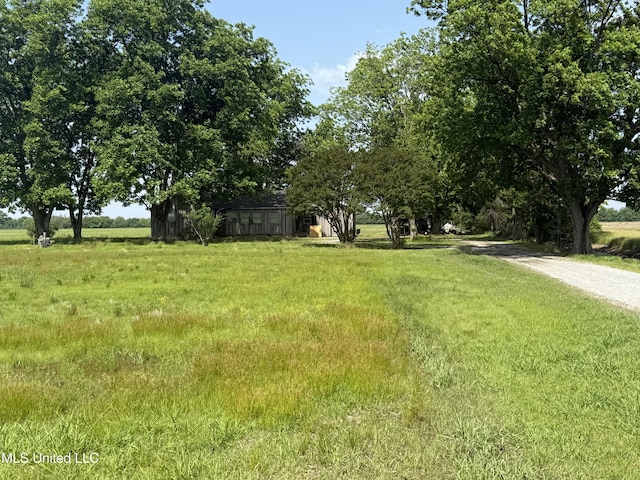111 Muzzi Rd, Shaw, MS 38773 - view of green lawn