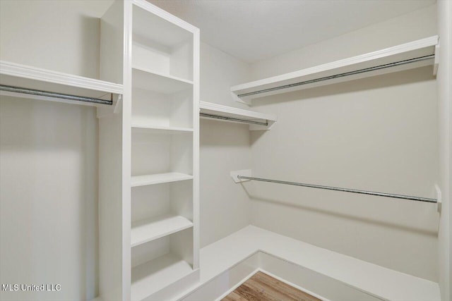 453 Abbey Woods, Brandon, MS 39047 - spacious closet with wood finished floors