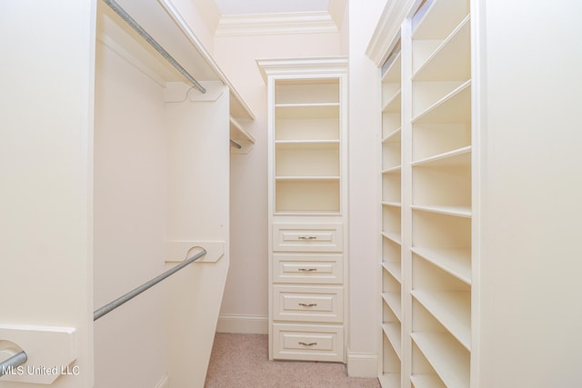 walk in closet featuring carpet floors