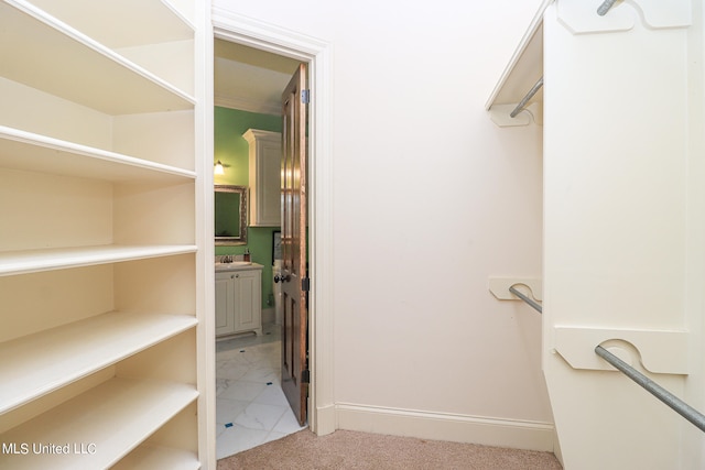 spacious closet with light carpet