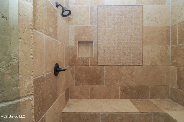 room details with tiled shower