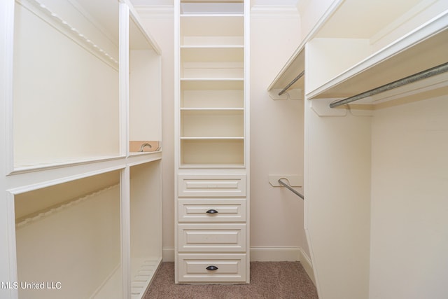 spacious closet featuring carpet floors