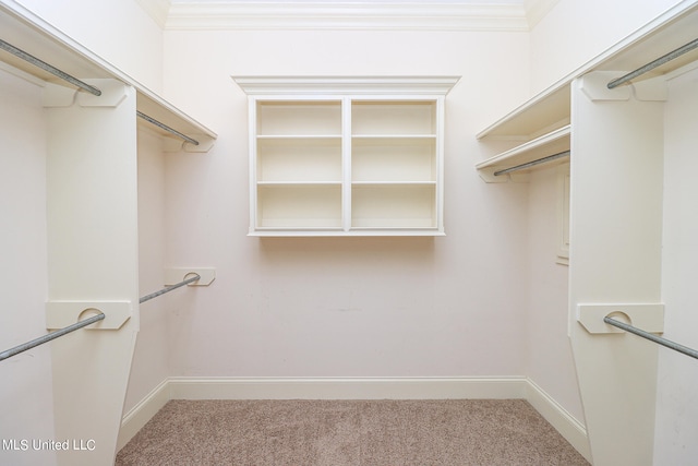 spacious closet with carpet floors