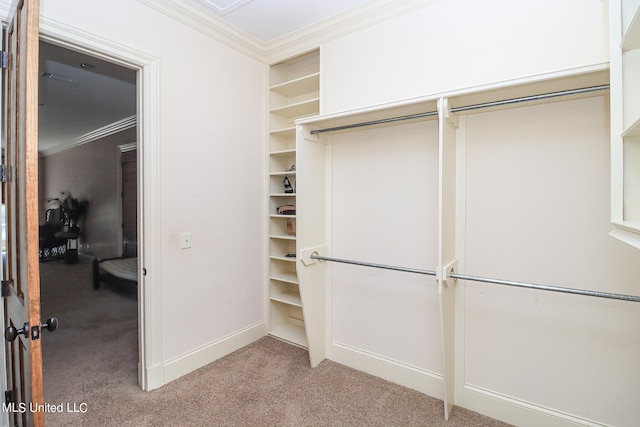 spacious closet featuring light colored carpet