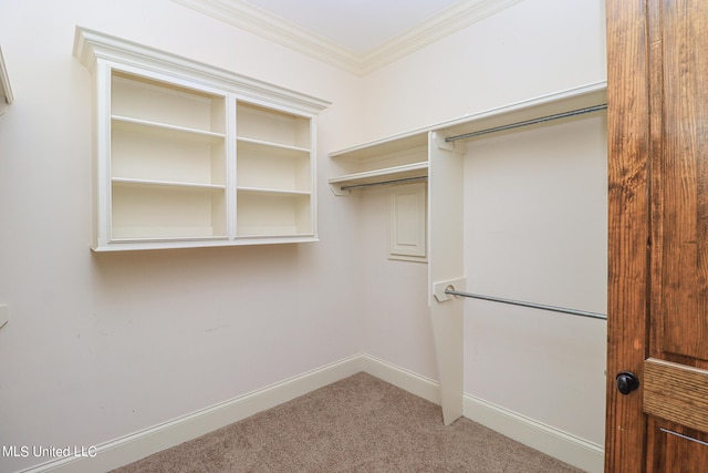 walk in closet with carpet flooring