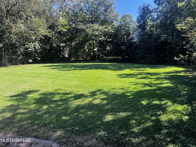 742 Brandon Ave, Jackson, MS 39209 - view of grassy yard