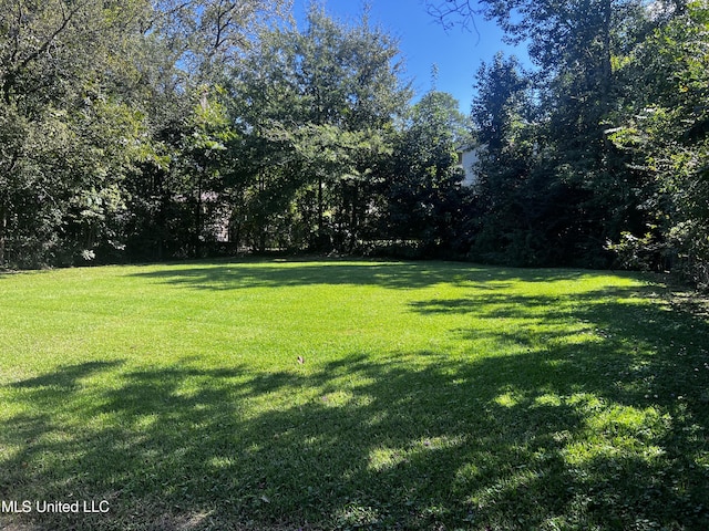 742 Brandon Ave, Jackson, MS 39209 - view of green lawn