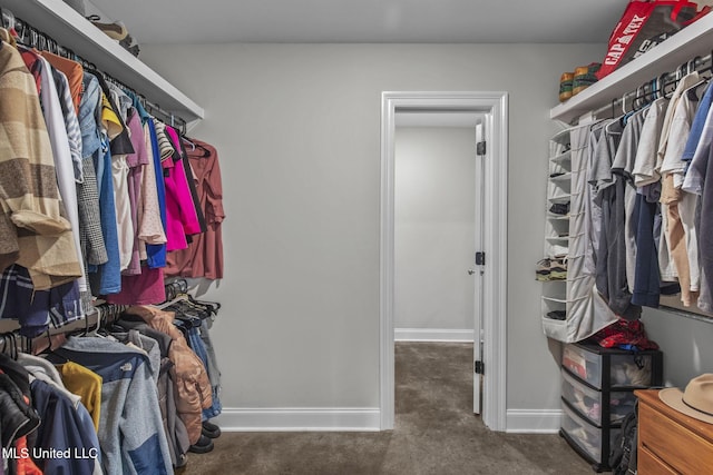 123 Bailey Cv, Canton, MS 39046 - spacious closet featuring carpet