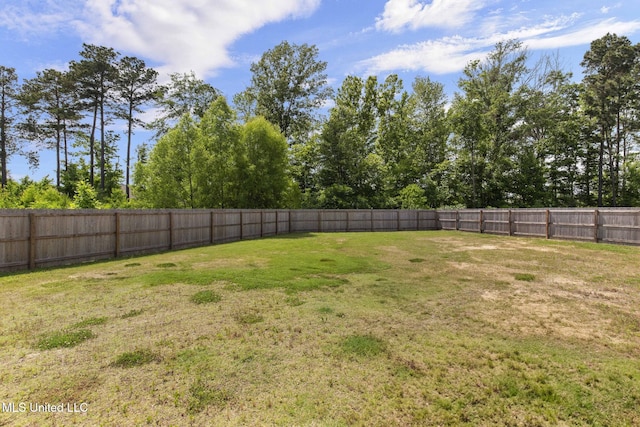 123 Bailey Cv, Canton, MS 39046 - view of yard