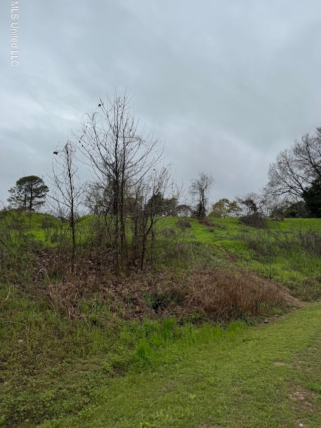 Pierce St, Yazoo City MS, 39194 land for sale