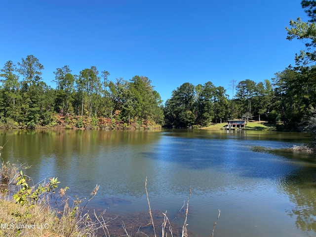 York Rd, Lauderdale MS, 39335 land for sale