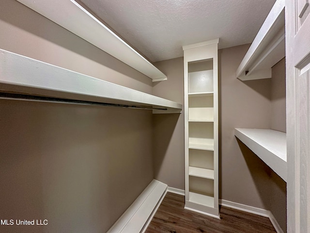 walk in closet with dark hardwood / wood-style floors