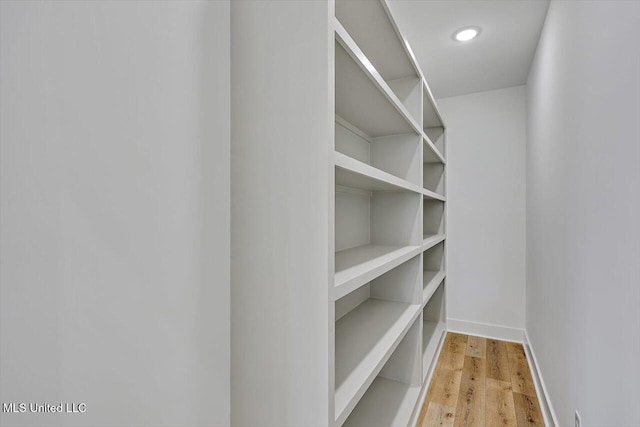spacious closet featuring light wood finished floors