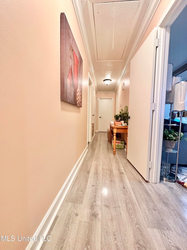 hallway with crown molding and light wood-type flooring