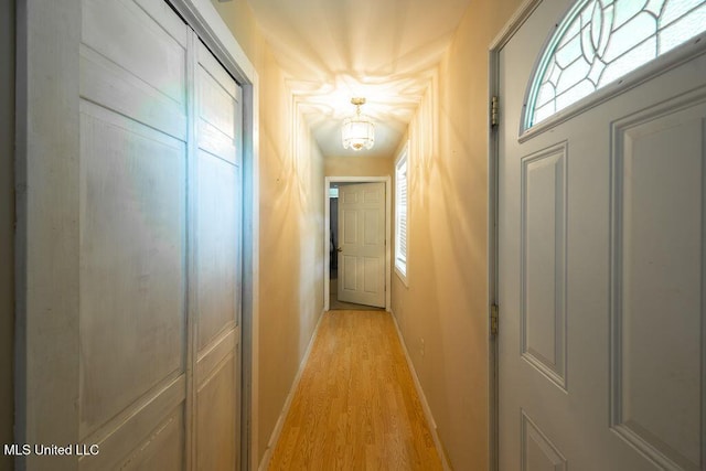 900 Old Benton Rd, Yazoo City, MS 39194 - hallway with light wood-style flooring and baseboards
