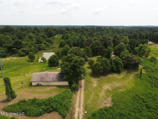 900 Old Benton Rd, Yazoo City, MS 39194 - bird's eye view of a forest