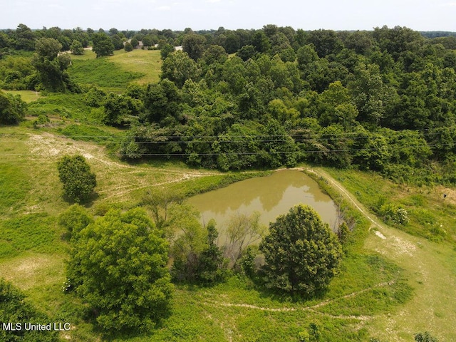 900 Old Benton Rd, Yazoo City, MS 39194 - aerial view of a nearby body of water