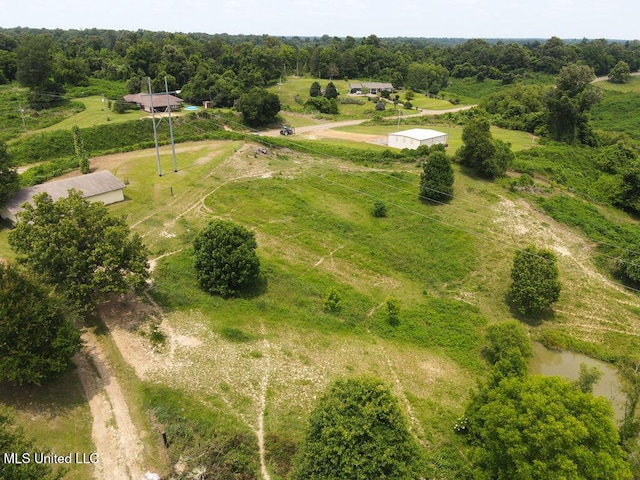900 Old Benton Rd, Yazoo City, MS 39194 - view of rural area