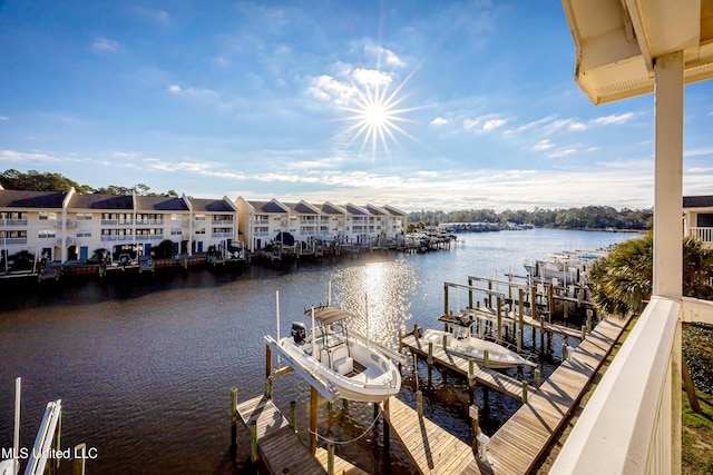 dock area with a water view